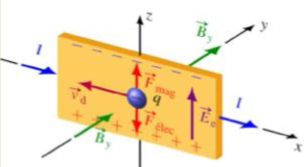 <p>Elle déplace les charges mobiles sur le côté où la force magnétique pointe. Dans l’image, les électrons sont les particules mobiles.</p>