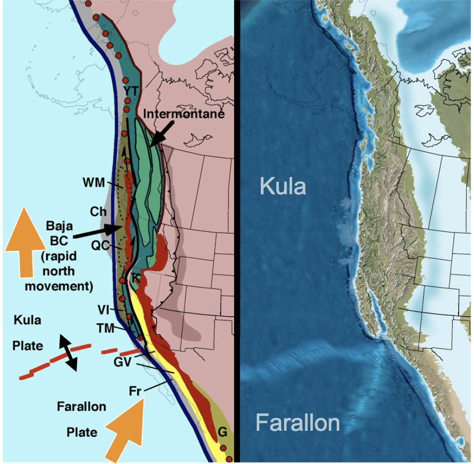 <p>85 Ma (Late Cretaceous)</p>