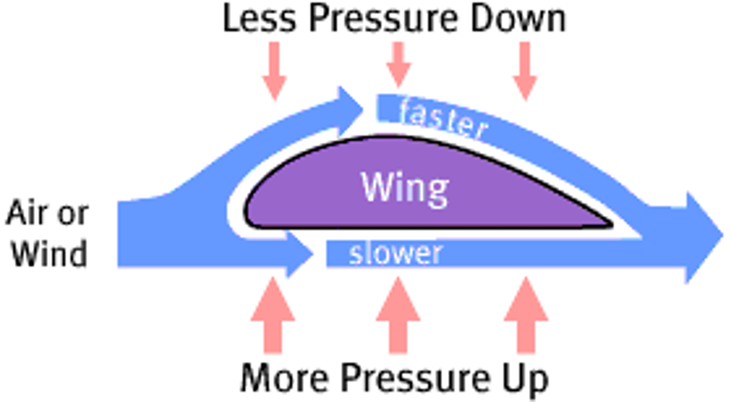 <p>The relationship between airflow velocity and air pressure is an inverse one and is expressed in this principle, as a ball spins it will move towards the direction of low pressure (Magnus effect)</p>