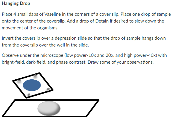preserves cell shape and arrangement

the Vaseline-sealed depression also slows down the drying-out process, so the organisms can be observed for longer periods.

can see motility