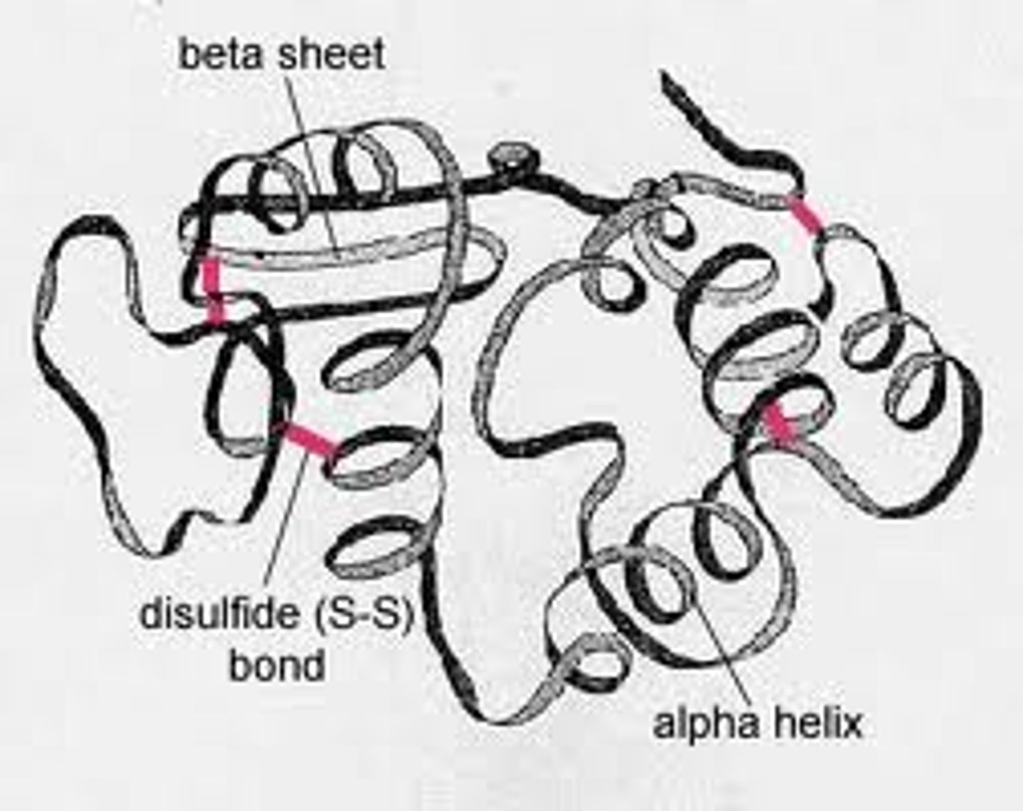 <p>3D shape of a polypeptide due to interactions of the R groups of the amino acids making up the chain</p>