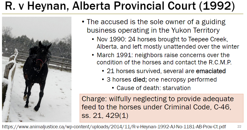 <p><strong>Background</strong><br> Accused was sole owner of a guiding business in Yukon Territory<br> Nov 1990: 24 horses brought to Teepee Creek, Alberta, left mostly unattended over winter</p><p><strong>Incident</strong><br> March 1991: neighbors reported poor horse conditions to R.C.M.P.<br> 21 horses survived, several emaciated<br> 3 horses died, one necropsy confirmed cause of death as starvation</p><p><strong>Charge</strong><br> Wilfully neglecting to provide adequate feed to horses under Criminal Code, C-46, ss. 21, 429(1)</p>