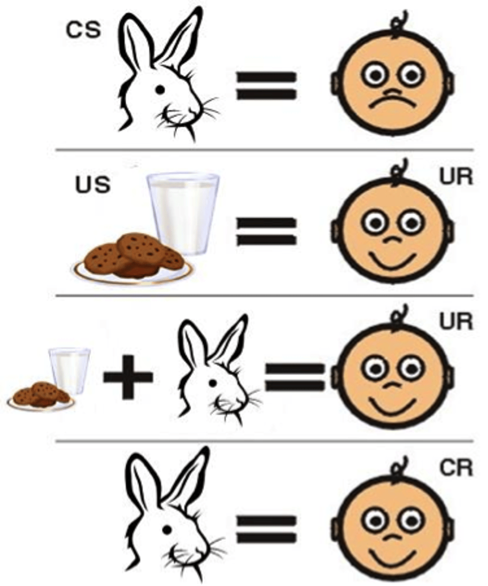 <p>Changing a learned response to something more preferred by pairing it with a different experience.</p>