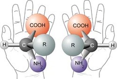 <ul><li><p>4 different group attach to the central carbon</p></li><li><p>lack a plane of symmetry</p></li><li><p>not superimposable</p></li></ul>