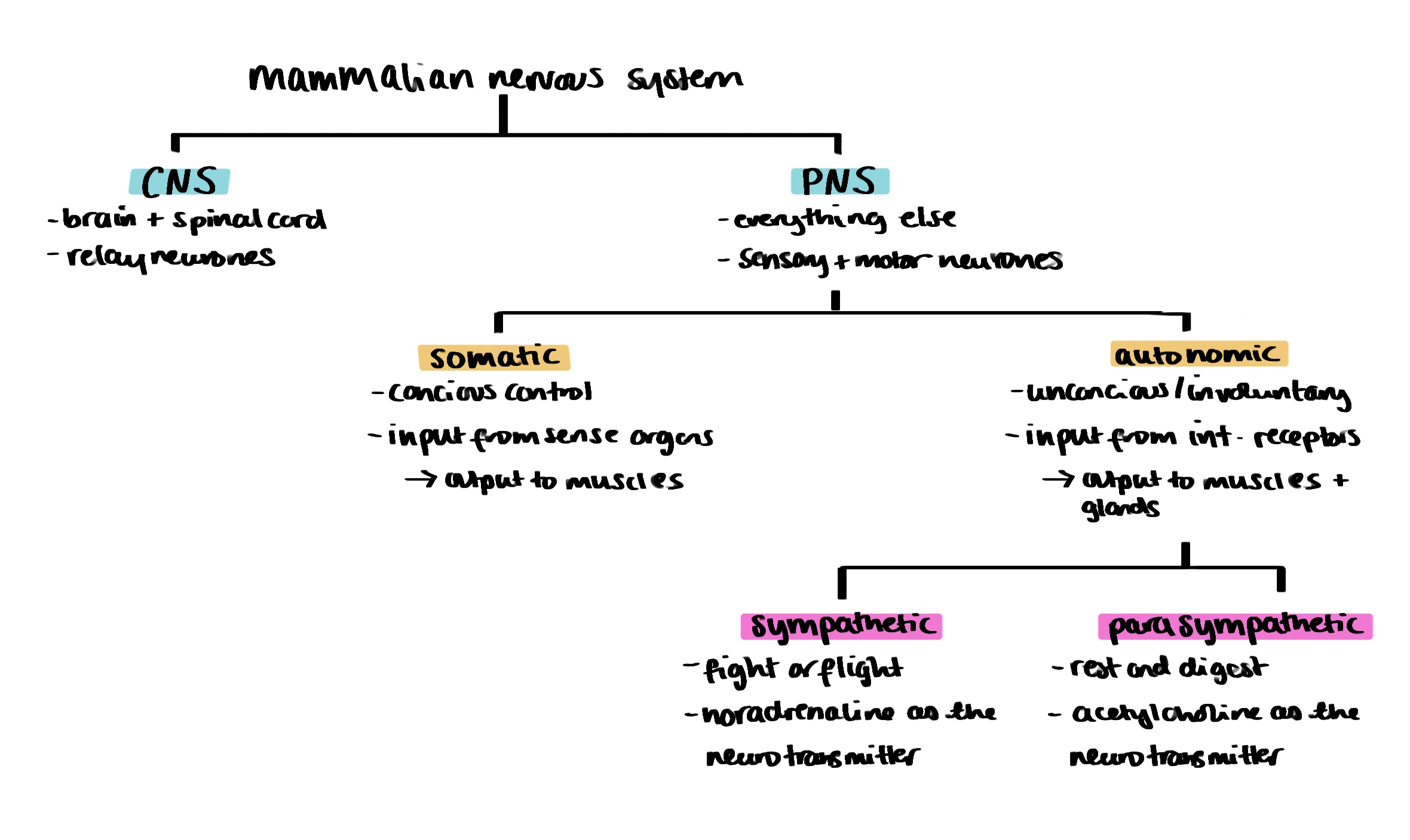 knowt flashcard image