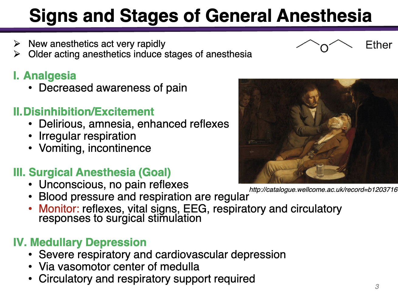 <p><strong>III. Surgical Anesthesia</strong></p><p>Unconscious, no pain reflexes </p><p>Blood pressure and respiration are regular</p><p>Monitor: Reflexes, vital signs, EEG, respiratory and circulatory responses to surgical stimulation </p>