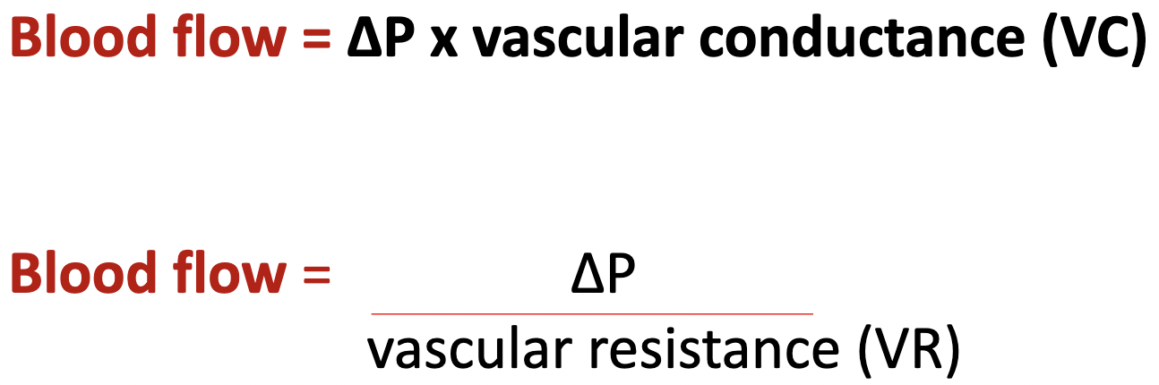 <ul><li><p>vascular resistance and conductance are opposites</p></li><li><p>The heart beating/contraction creates the high pressure for inflow for blood into the arteries</p><ul><li><p>the ventricle gets smaller, and blood is pushed out</p></li></ul></li><li><p>The arterioles create resistance to blood leaving (outflow) the arteries</p></li></ul>