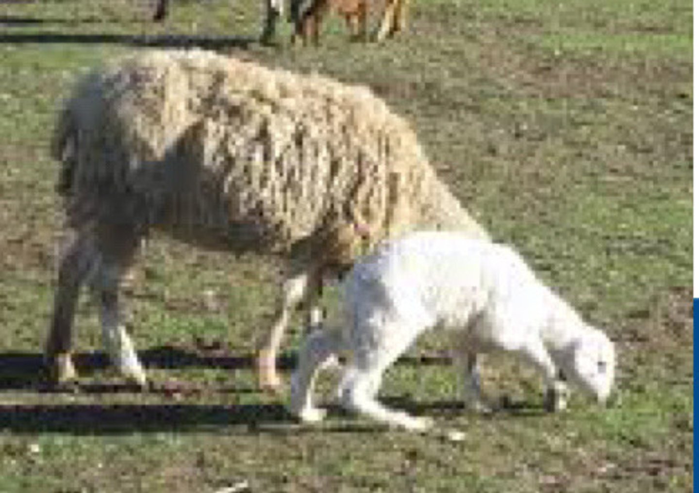 <p>What is this?</p>