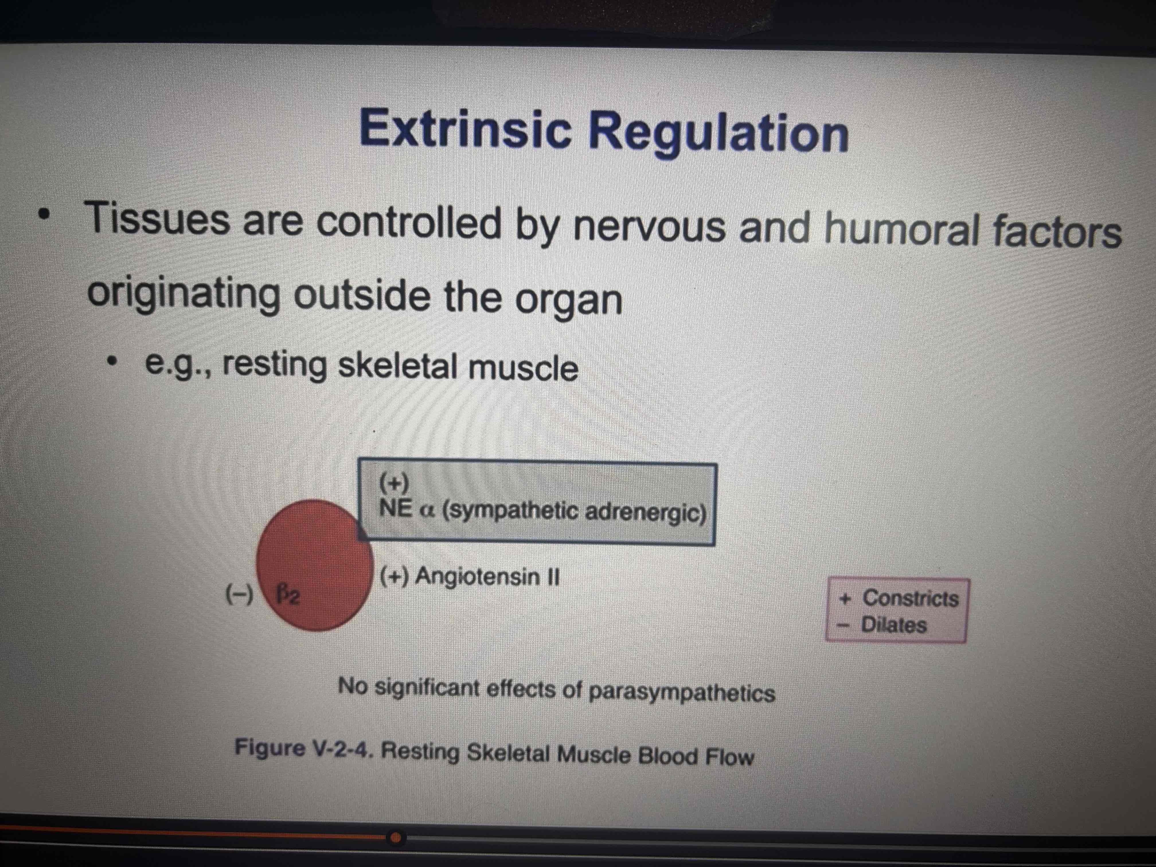 <p>EPI can cause vasodilation via B2 receptors </p>