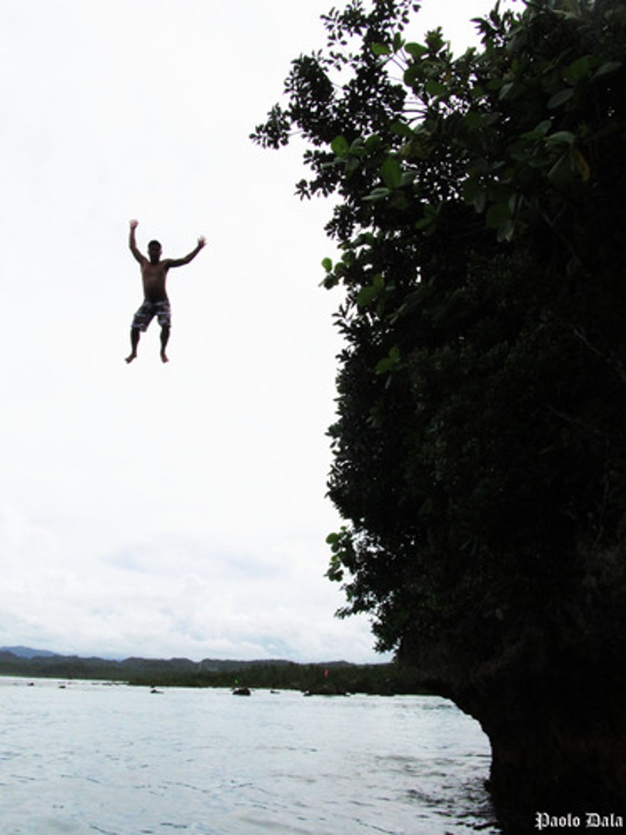 <p>Швидкість</p>