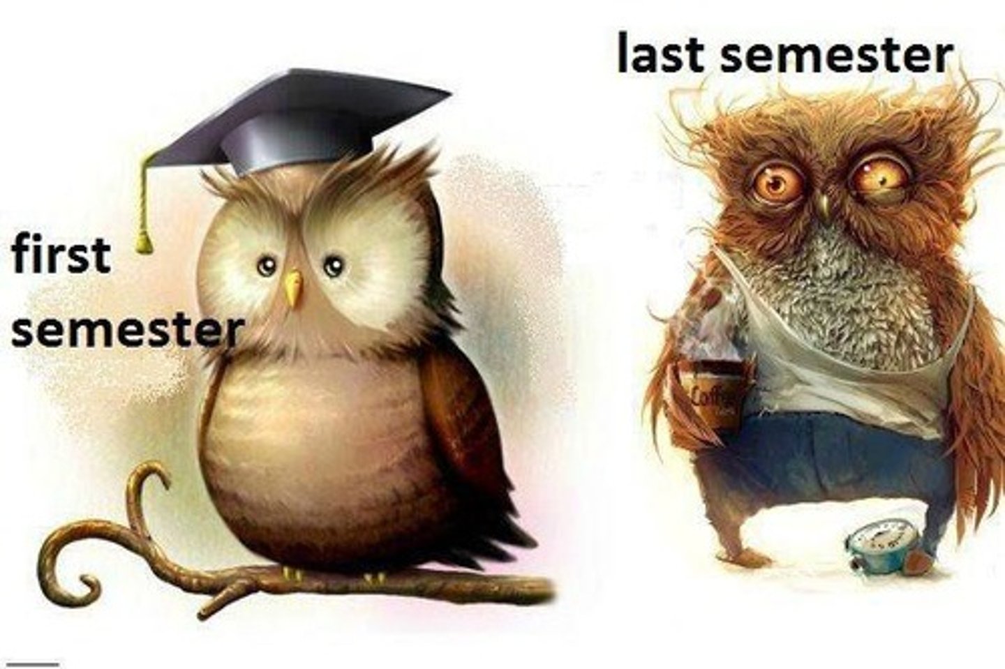 <p>Học kỳ mới</p>