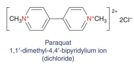 <p>A bipyridyl compound that comprises a class of herbicides. It has one of the highest acute toxicities and is most toxic when administered intravenously, indicating it has poor gastrointestinal absorption. It is also poorly absorbed through the skin. It accumulates in the lung and kidney, is poorly metabolized, and excreted unchanged in urine. </p>
