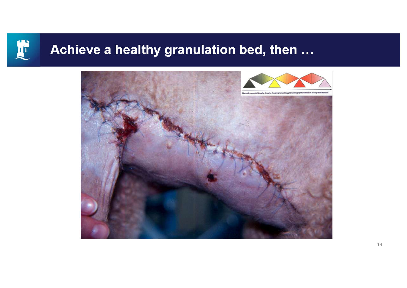 <p>what has happened here </p>