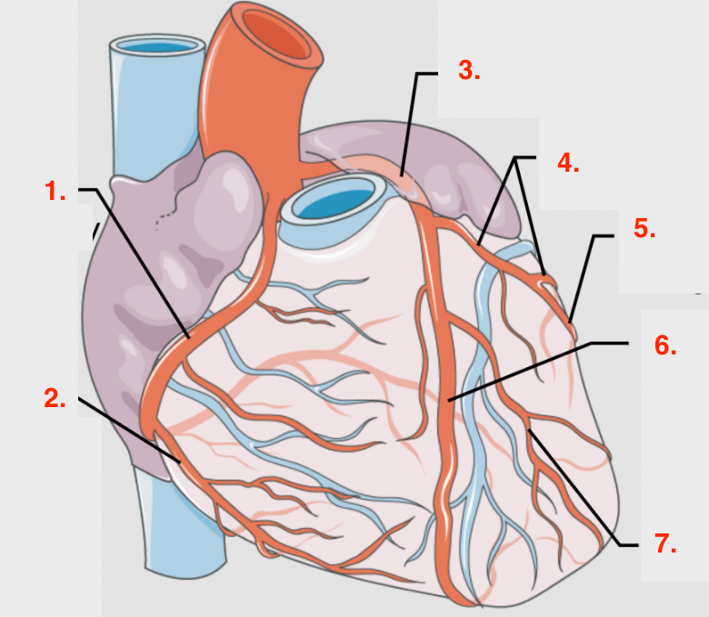 <p>Identify this image. </p>