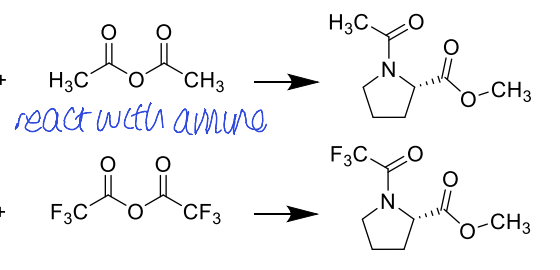 <p>can no longer form H-bonds</p>