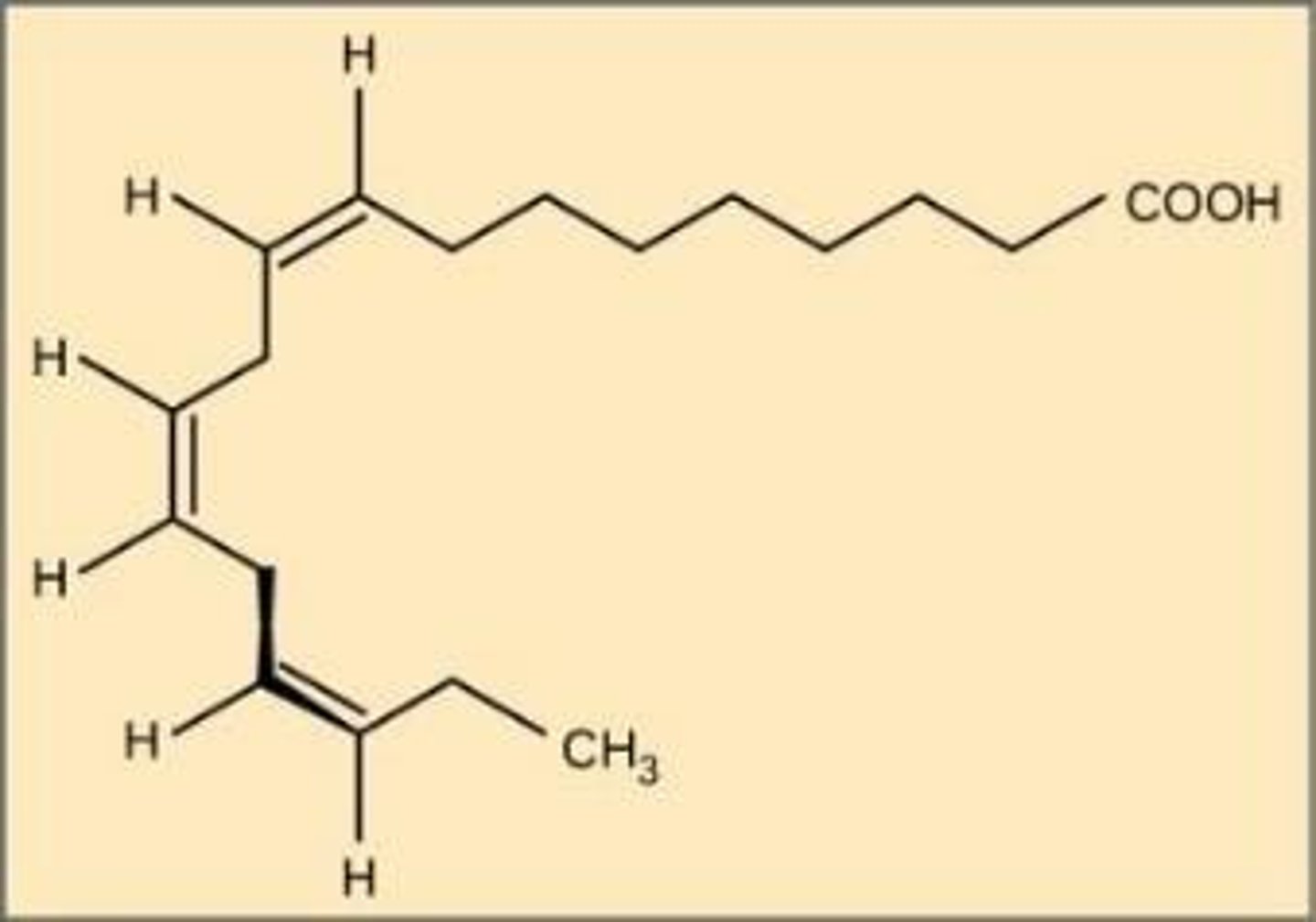 <p>An example of an omega-3 fatty acid.</p>