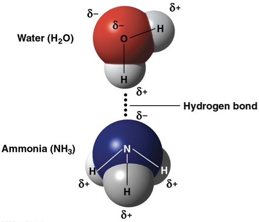 <p>hydrogen atom is bonded to a highly electronegative atom like nitrogen or oxygen </p><p></p>