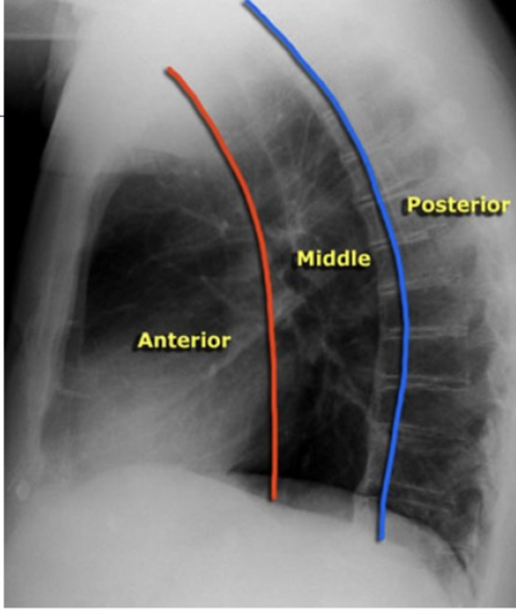 <p>What structures are located in the middle mediastinal compartment?</p>