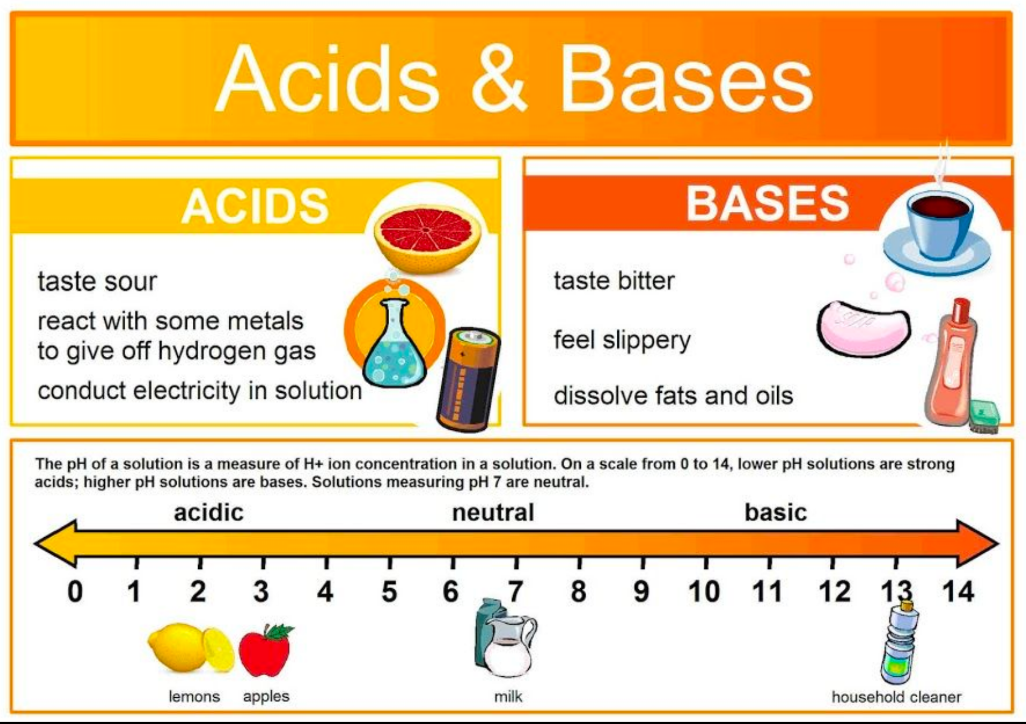 <p>•  bitter, slippery in consistency •  turns litmus paper to blue •  i.e. sodium hydroxide, ammonium hydroxide, some antacids</p>