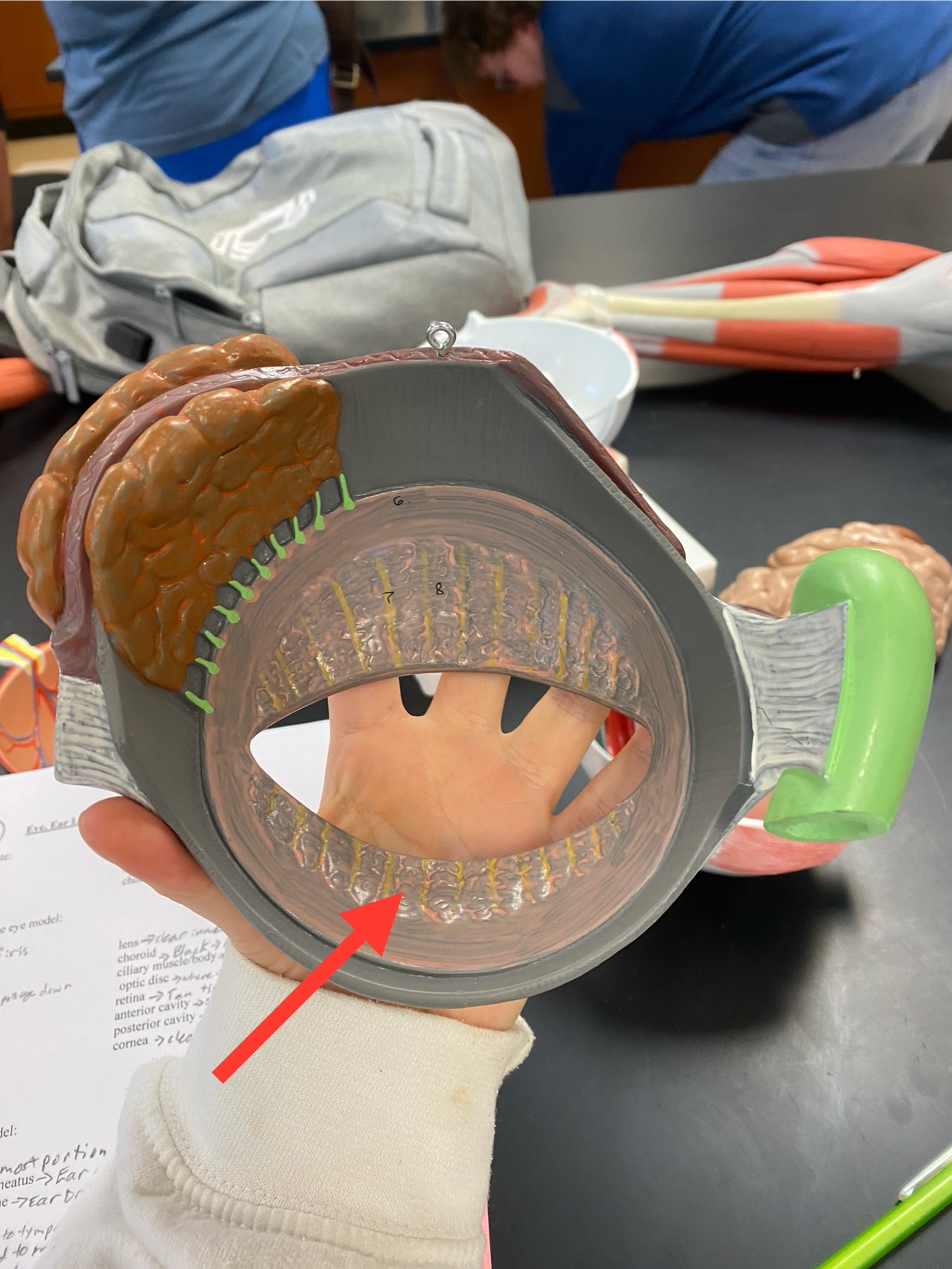 term image