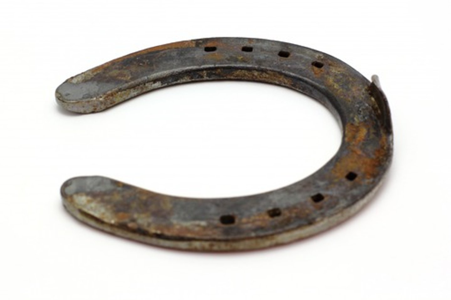 <p>hierro aproximadamente semicircular que se clava a las caballerías en los cascos o a algunos vacunos en las pezuñas para que no se los maltraten con el piso</p>