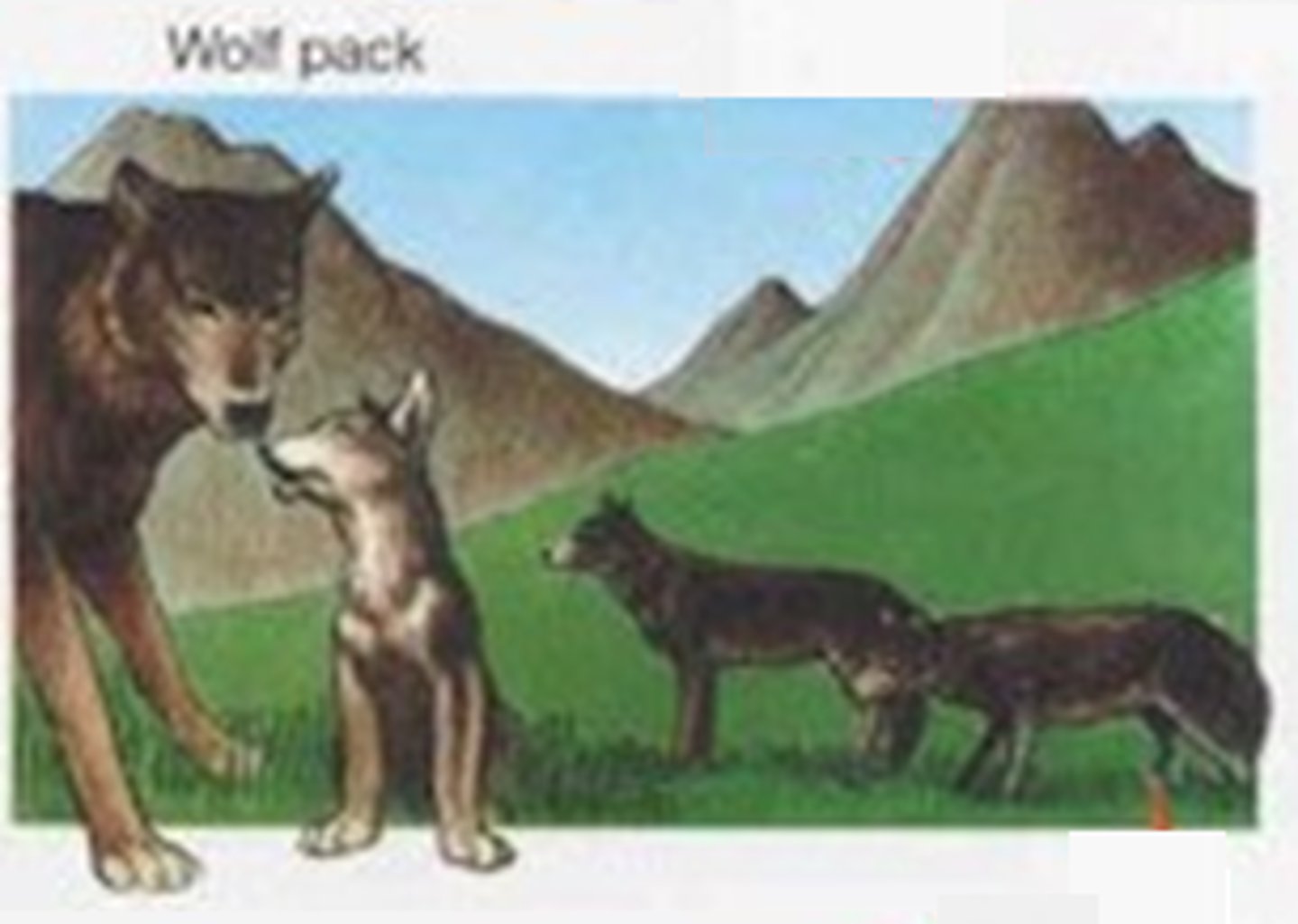 knowt flashcard image