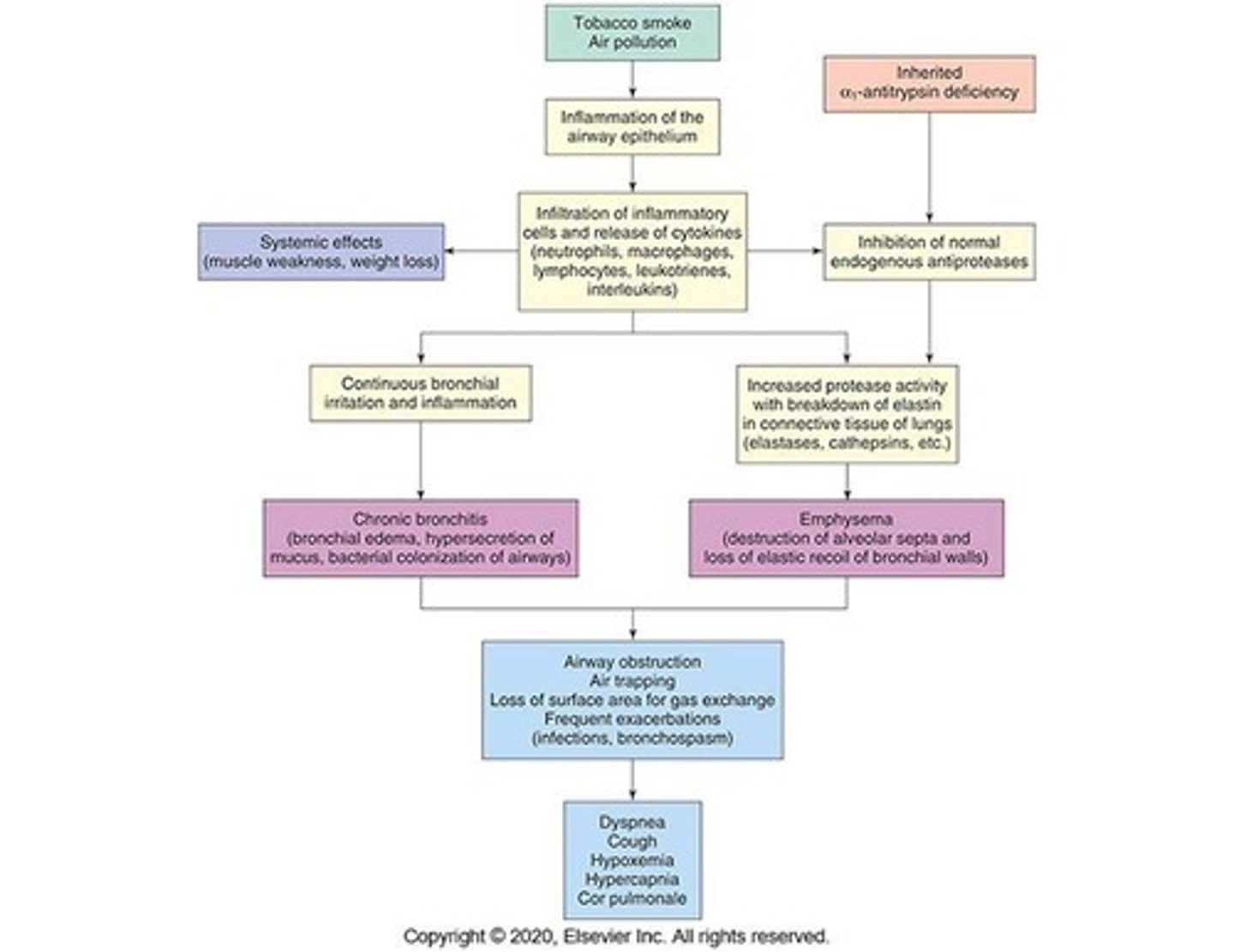 <p>Characterized by persistent airflow limitation or obstruction.</p>