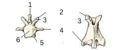 <p>2</p>