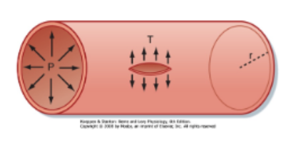 <p>P = T/r</p><p>smaller blood vessel radius = smaller tention needed to balance the distending pressure  </p>
