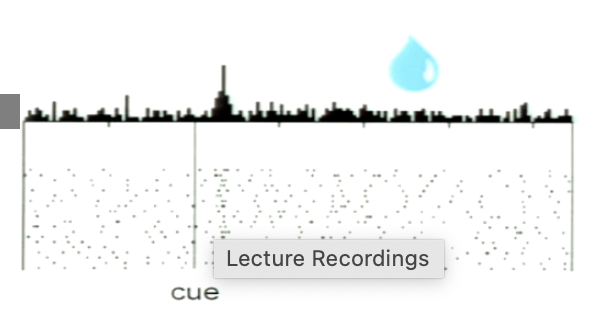 <p>What is shown from the experiment? When does the neuron fire?</p>