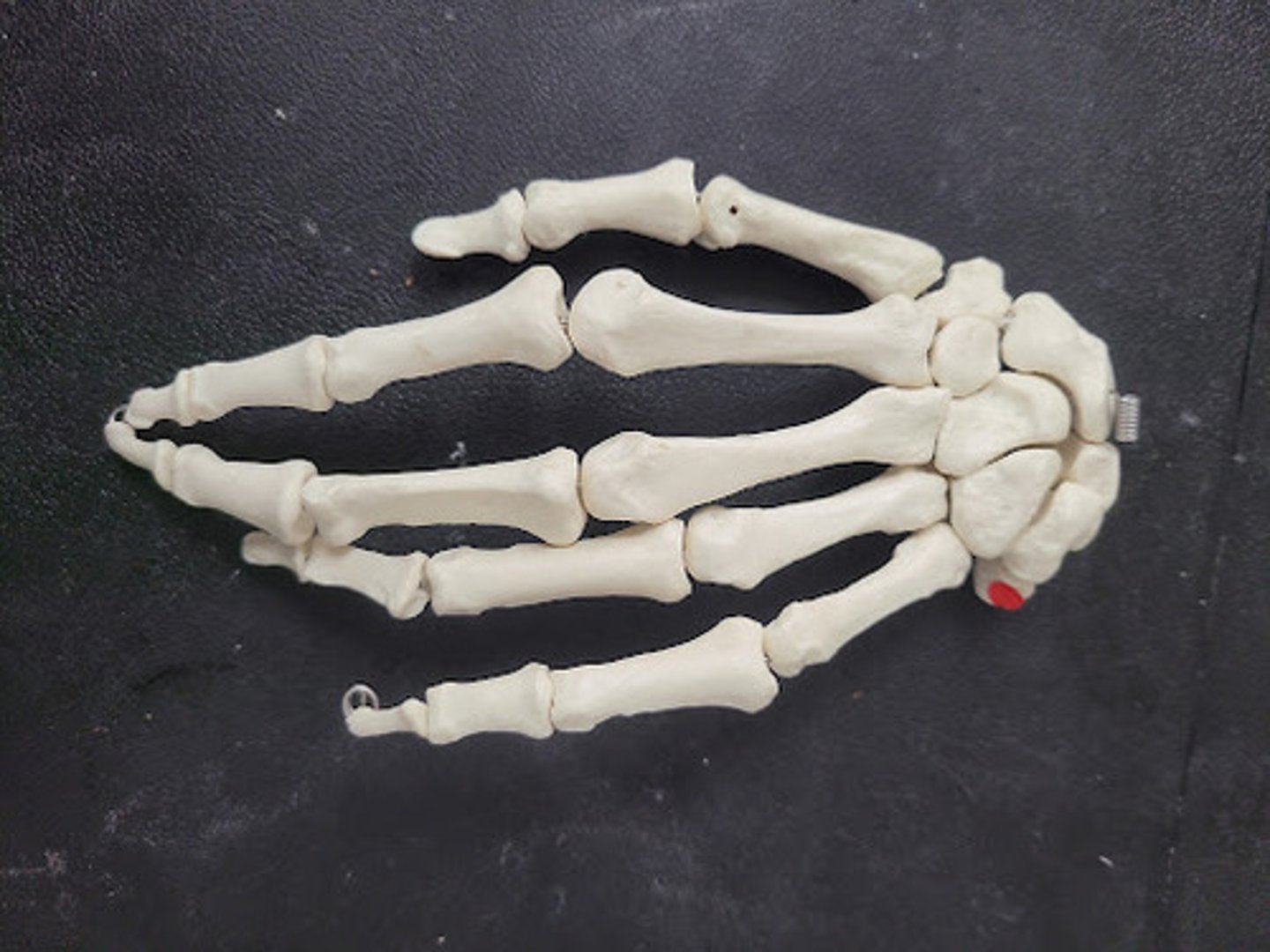 knowt flashcard image