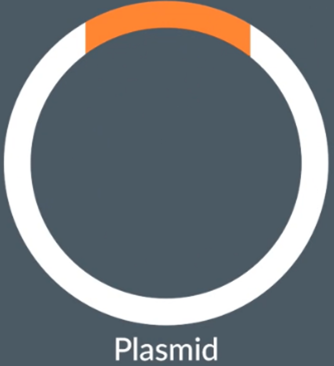 <p>Transfers DNA fragments into a host cell</p><p>E.g. plasmids</p>