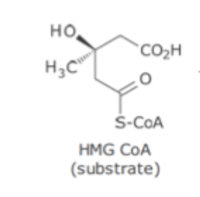 <p>HMG-CoA Reductase SAR</p>