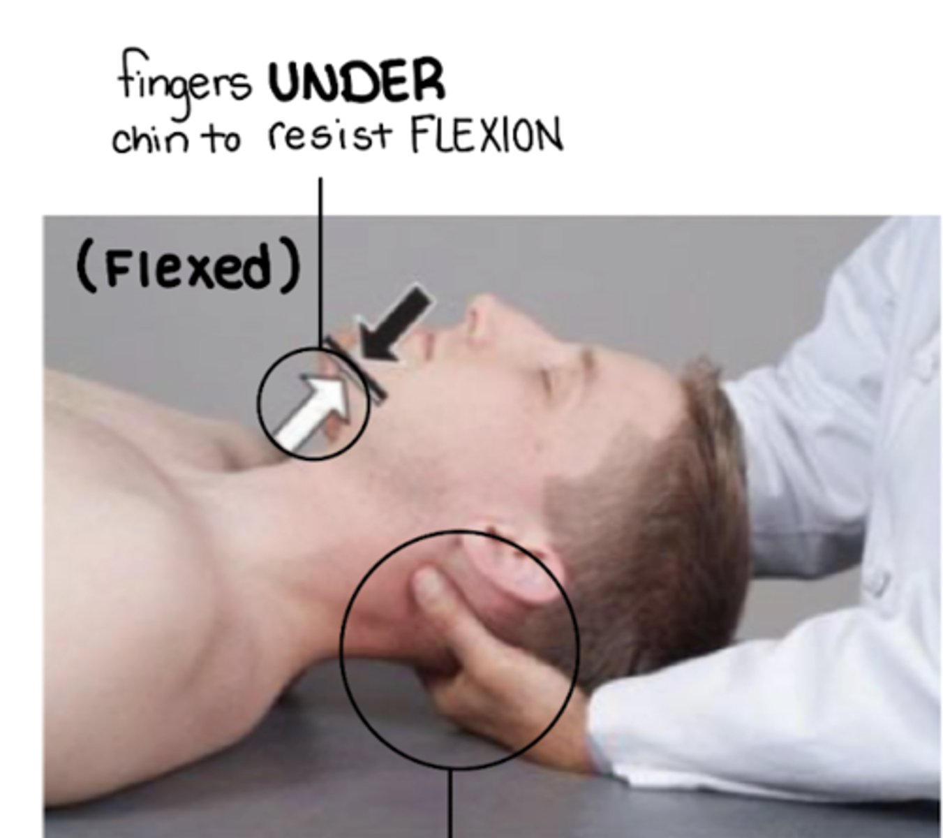 <p>v-hold: pads of thumb and index finger just under occiput</p><p>pt is moved further into barrier E Sa Ra</p>
