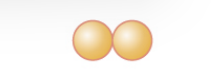 <p>Pair of two cocci</p>