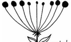 <p>identify the inflorescence</p>