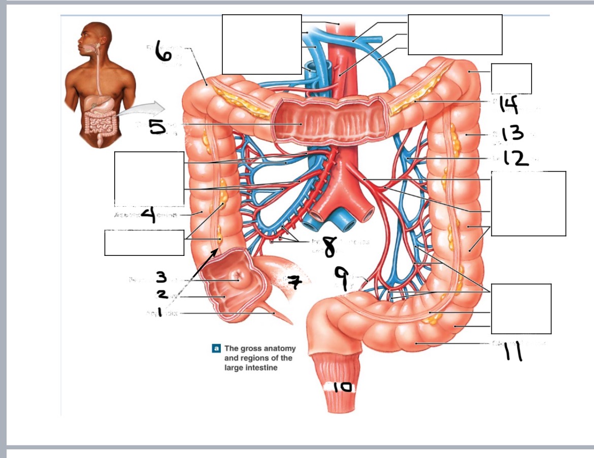 <p>14</p>