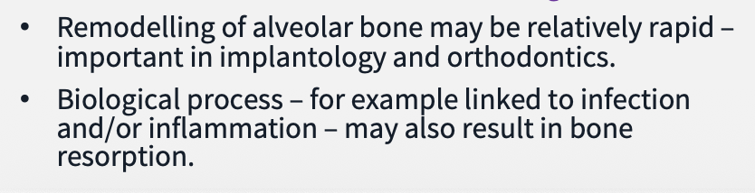 <p>relevancy of bone physiology to dentistry</p>
