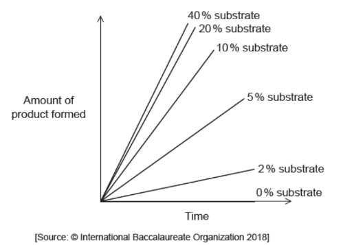 <p>The graph shows the effect of changing the substrate concentration on the early stages of an enzyme-catalysed reaction.</p><p>What can be interpreted about the rate of reaction from the graph?</p>