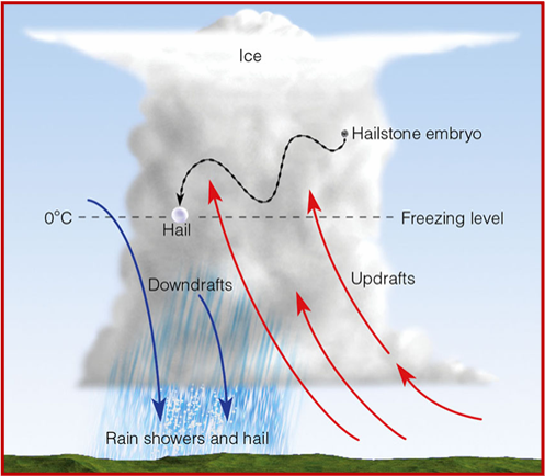 <p><span>Updrafts in the cloud repeatedly force a water droplet upward</span></p><ul><li><p style="text-align: left;"><span>The droplet develops a ring of ice around it each time it enters the cold part of the cloud</span></p></li><li><p style="text-align: left;"><span>the ball of ice eventually becomes heavy enough to fall to the ground</span></p></li></ul><p></p>