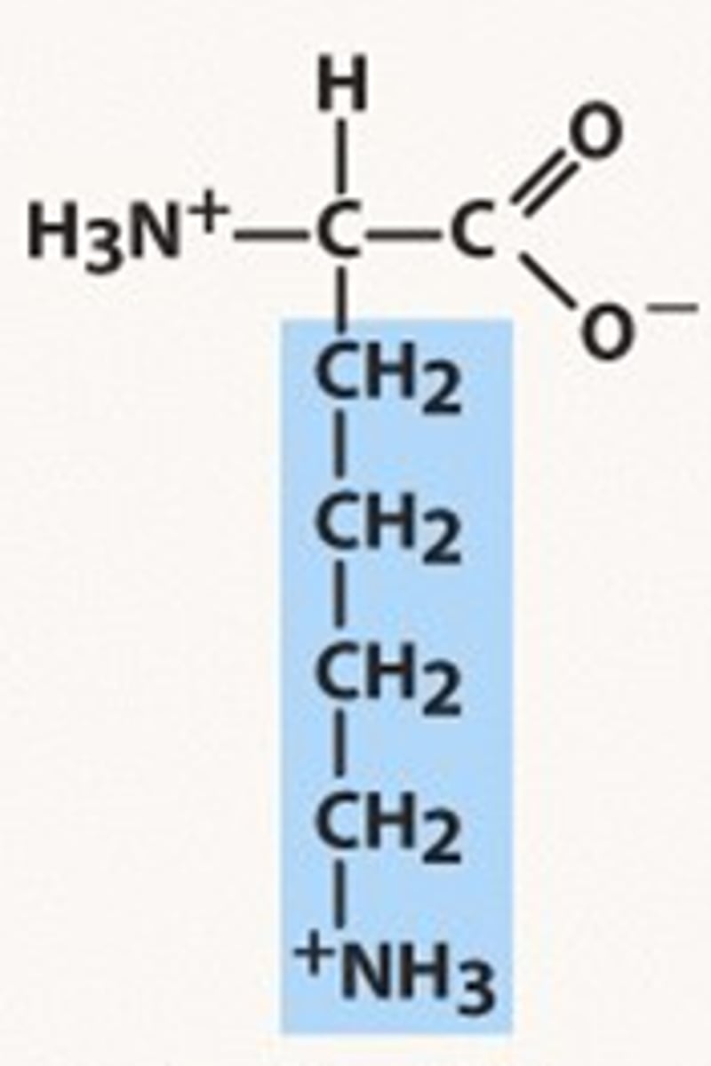<p>Lys, K, basic, pKr= 10.54</p>