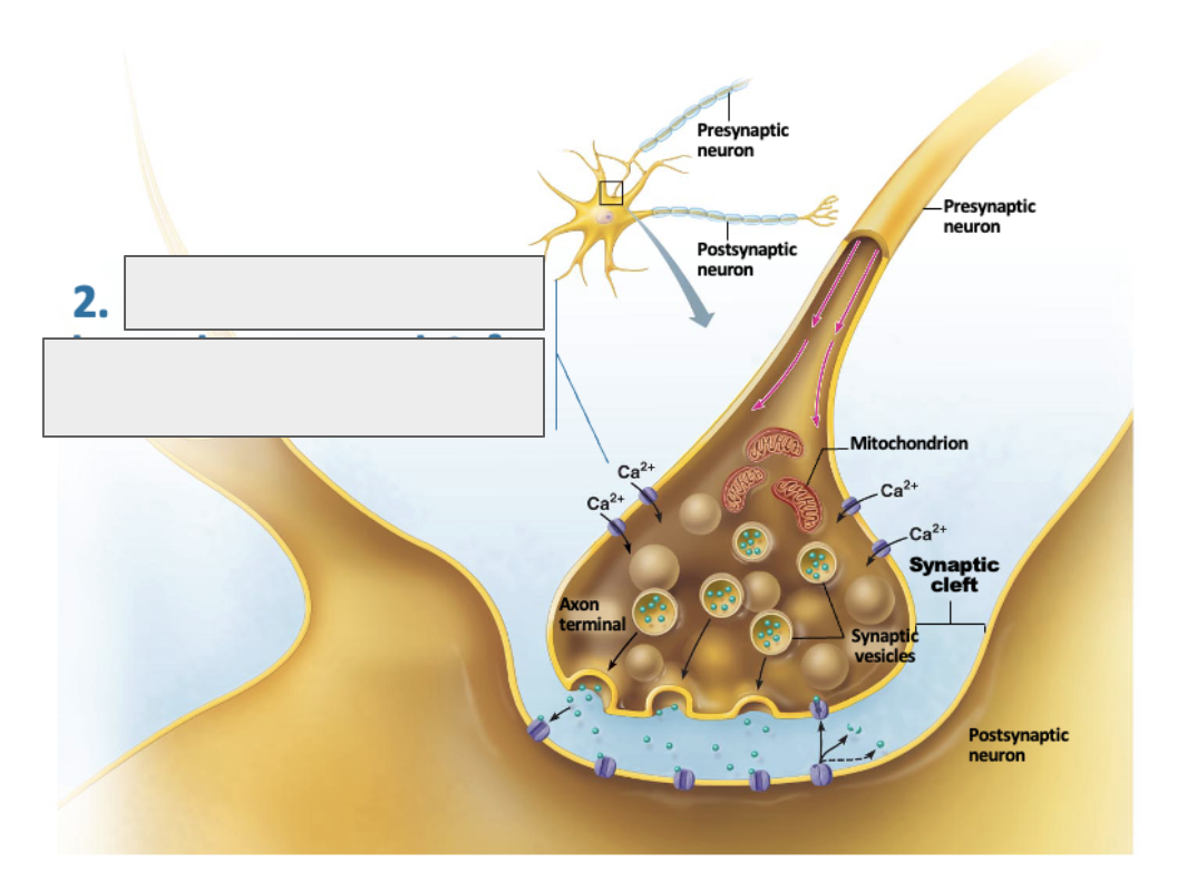 <p>what is happening in this image?</p>