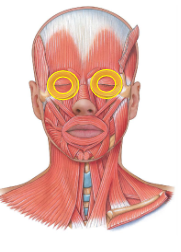 <p>What is this?</p>