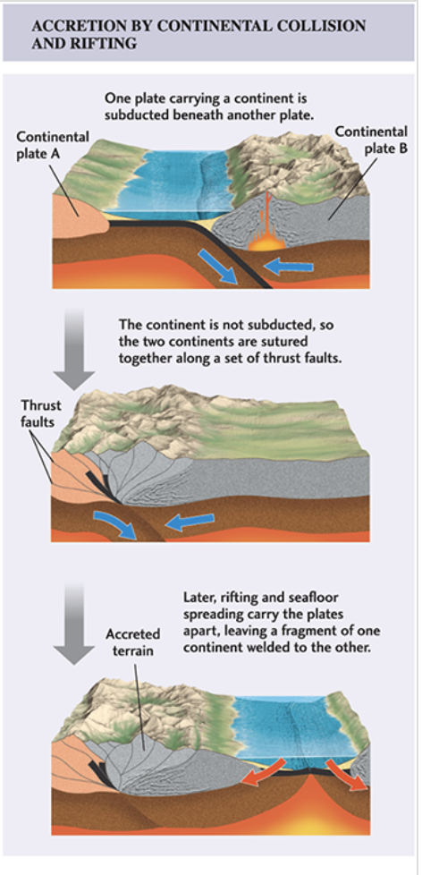 <p>2 continents collide and are sutured together, then break apart later at different location</p>