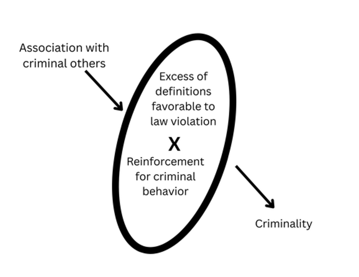 <p>Learning/social process theory that asserts that criminal behavior that is positively reinforced will lead to persistent criminality; accounts for people exposed to criminal others but who do not commit crimes</p>