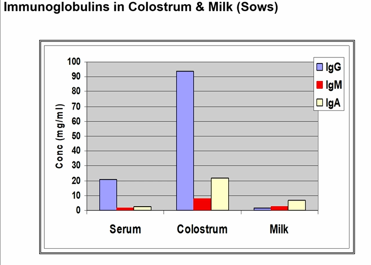 <ul><li><p>ACTIVE naturally acquired immunity</p><ul><li><p>natural exposure to an infectious agent or other antigen</p></li><li><p>body responds by making its own antibodies</p></li></ul></li><li><p>PASSIVE naturally acquired immunity</p><ul><li><p>ex: placental transfer of antibodies from mother to fetus during pregnancy</p></li><li><p>antibodies( IgA, IgG) found in colostrum and milk</p></li></ul></li></ul><p></p>