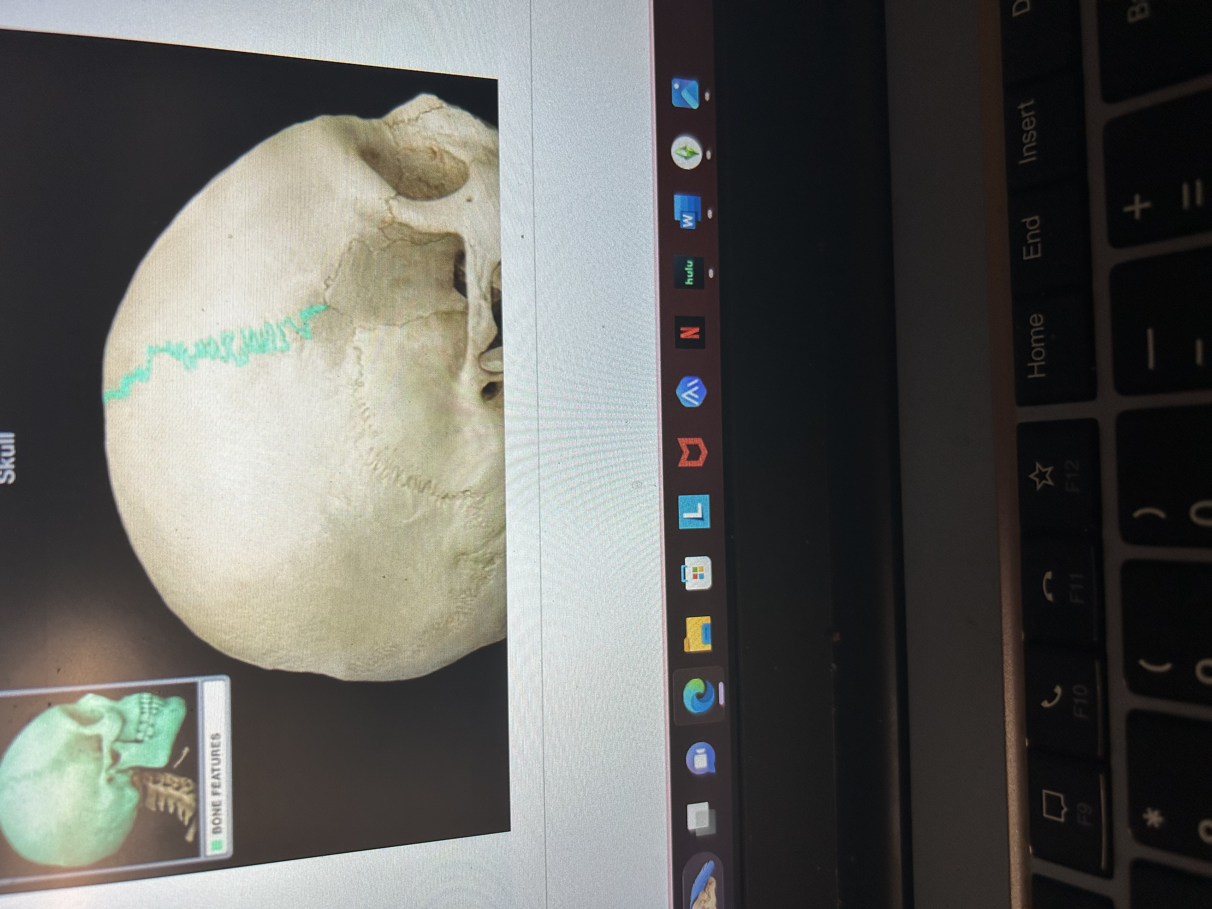 knowt flashcard image