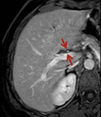 <p>What is this and what type of scan </p>