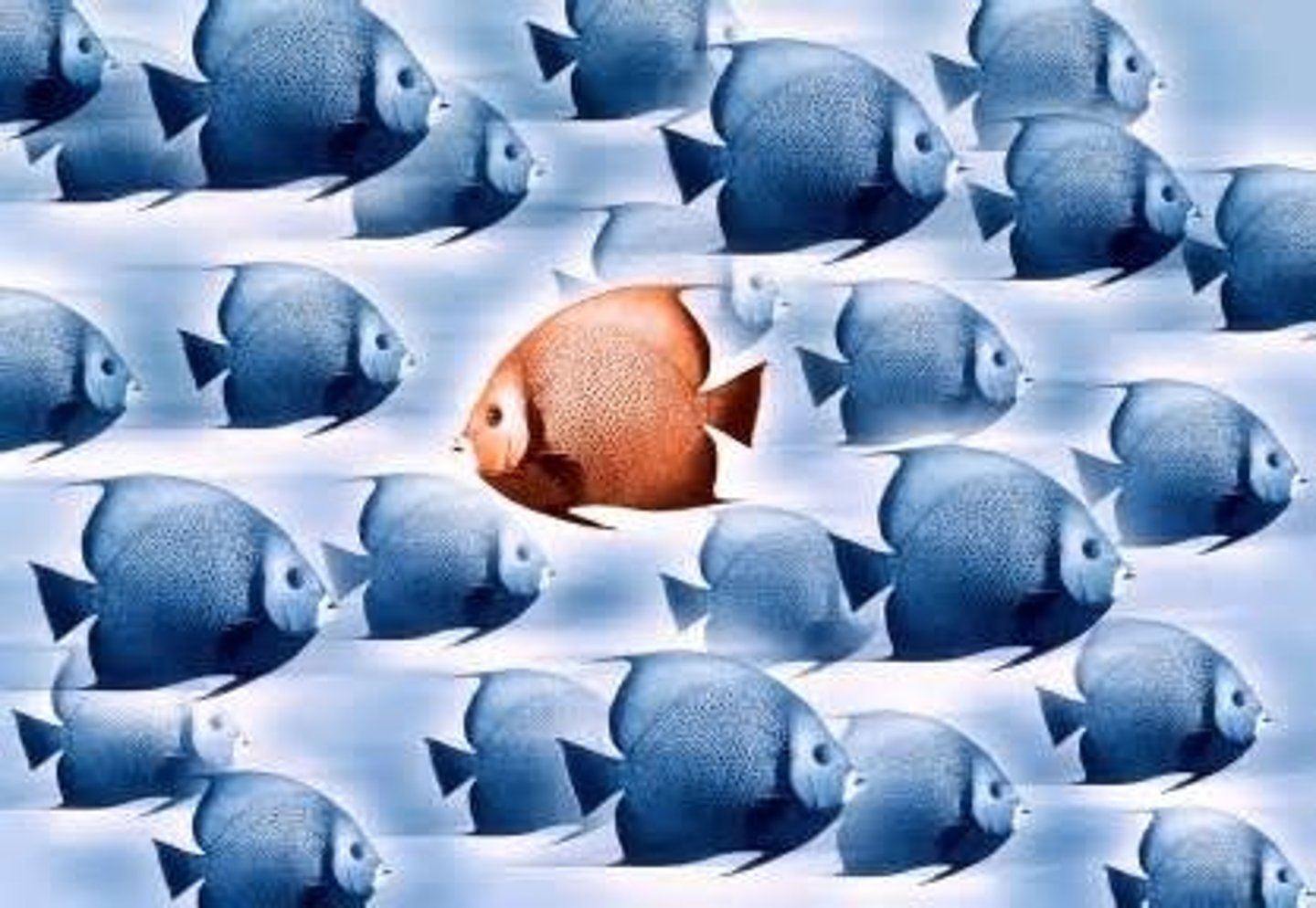 <p>(n.) one who rebels or rises against authority; (adj.) rising in revolt, refusing to accept authority; surging or rushing in or on ----- syn. (adj.) revolutionary, rebellious, mutinous</p>