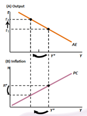 <ul><li><p>starting at potential output and expected inflation, assume an increase in r from r1 to r2 </p></li></ul><p>→ higher r pushes output below potential</p><p>→ this then pushes inflation below expected inflation (𝛑^e)</p><p>→ policymakers can reduce inflation by raising r but at the cost of reduced output in the short run</p>